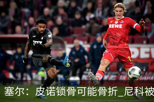 塞尔：皮诺锁骨可能骨折 尼科被铲伤可能提前结束世界杯之旅