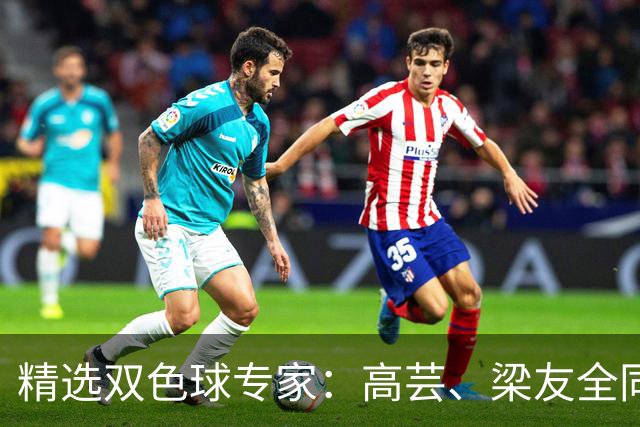 精选双色球专家：高芸、梁友全同中二等279万！