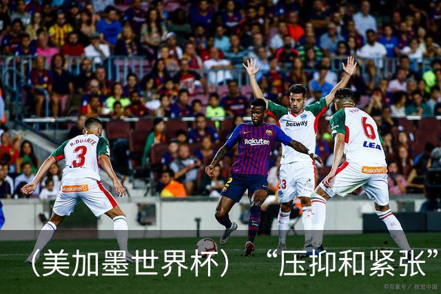 （美加墨世界杯）“压抑和紧张”中的伊朗队首秀
