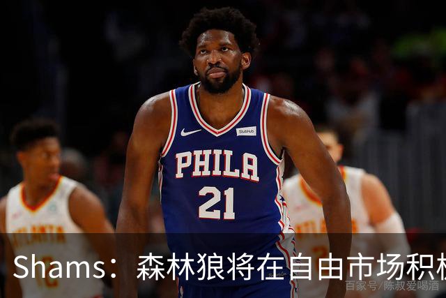 Shams：森林狼将在自由市场积极补强4号位 但他们只能提供底薪